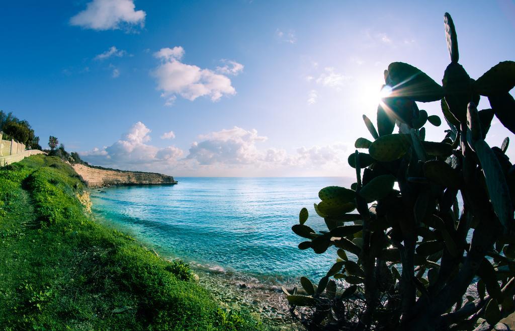 אבולה Dandrea Resort מראה חיצוני תמונה